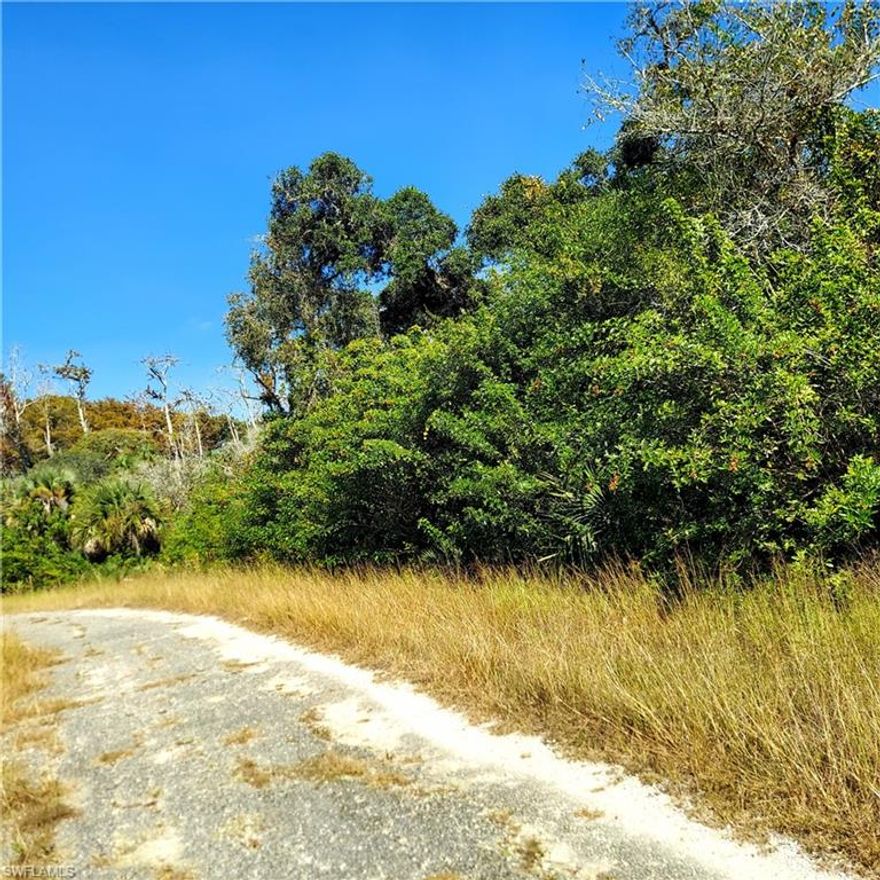 Great Lot For Your next home Or to hold as an Investment! Seller has other lots available in Lehigh Acres.