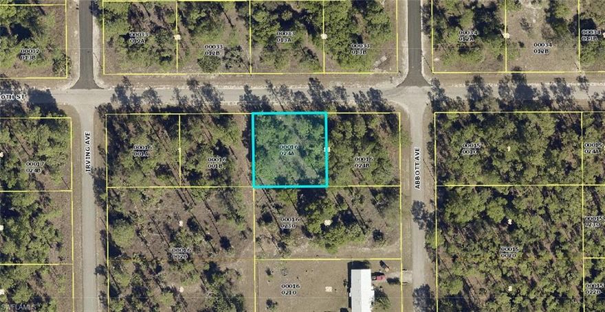 Come see this very nice lot in Lehigh Acres. Build your dream home or buy as an investment property! Located close by restaurants, shops, grocery stores, schools, medical facilities with easy access to I75.