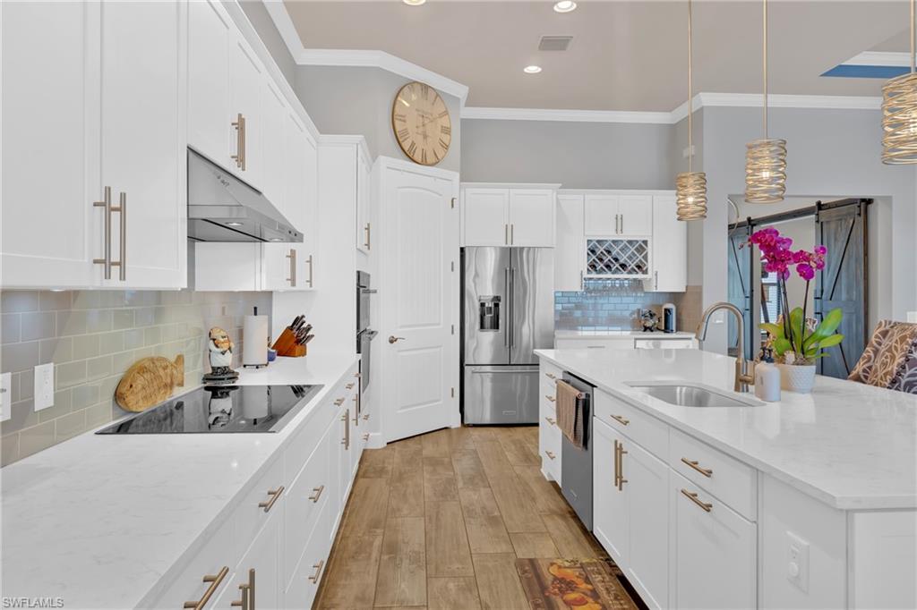 CORKSCREW SHORES - Residential