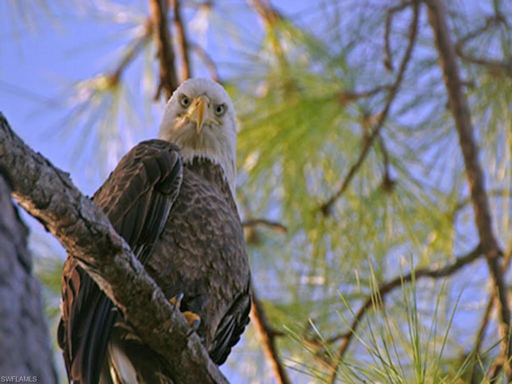 LAKE ARROWHEAD - Residential