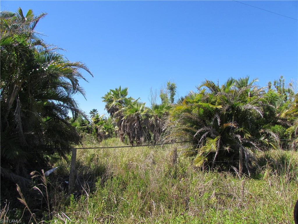 METES AND BOUNDS - Land