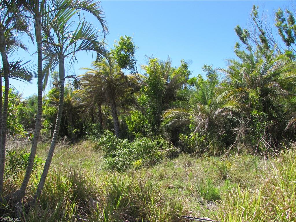 METES AND BOUNDS - Land