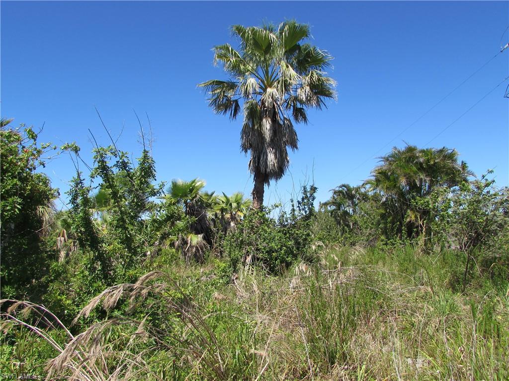 METES AND BOUNDS - Land