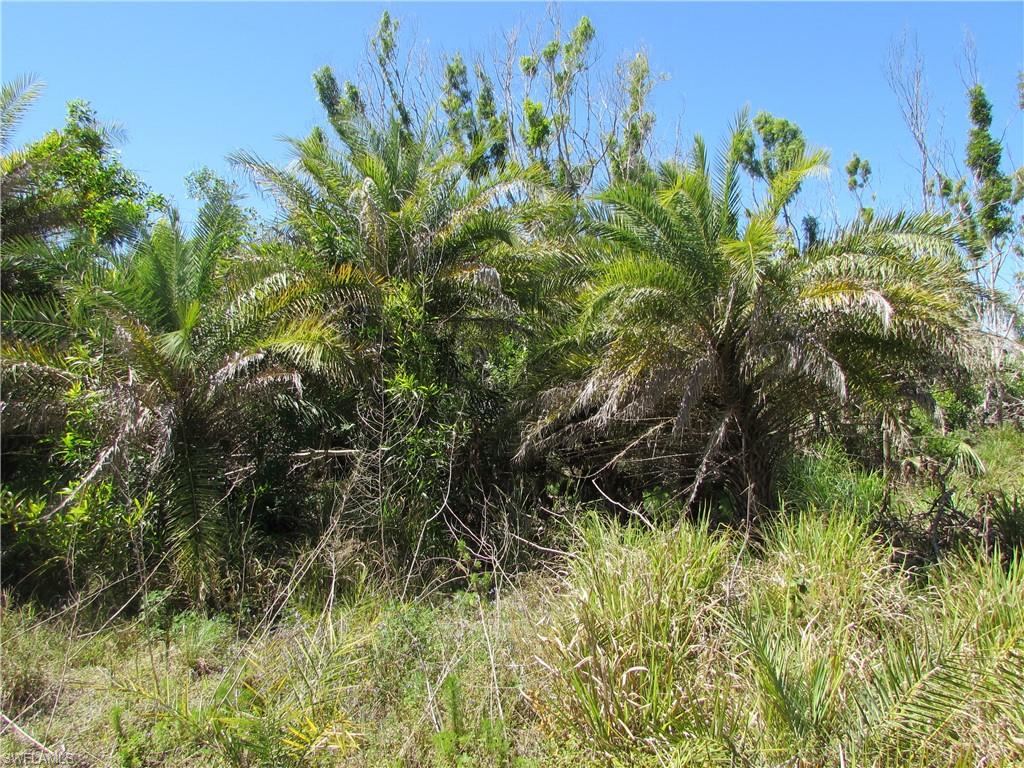 METES AND BOUNDS - Land