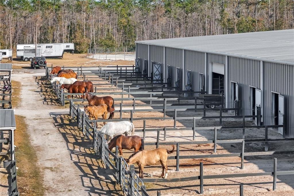 SUN COAST ACRES - Residential