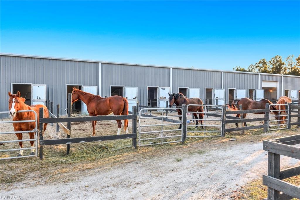 SUN COAST ACRES - Residential