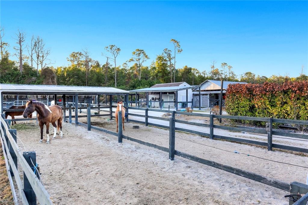 SUN COAST ACRES - Residential