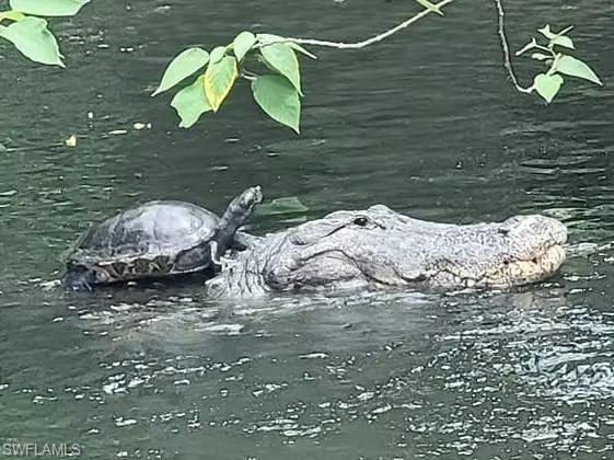 FAIRWAYS AT PAR FIVE - Residential