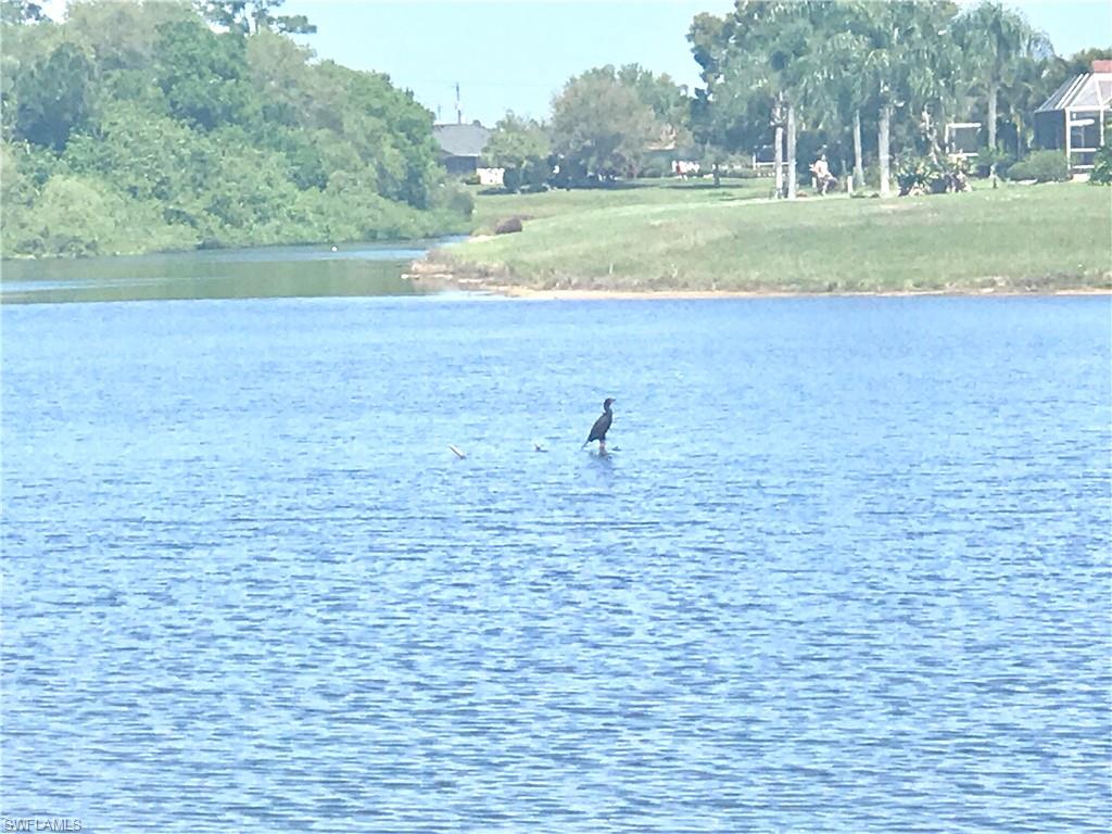 PUNTA GORDA ISLES - Residential