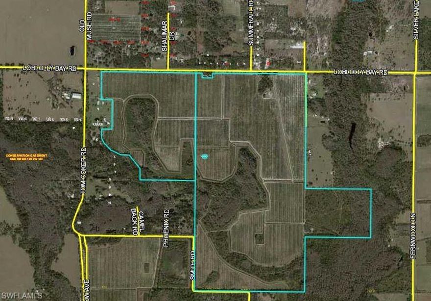 478+/- acres of grove located in the Muse Area of Glades County in LaBelle, FL!