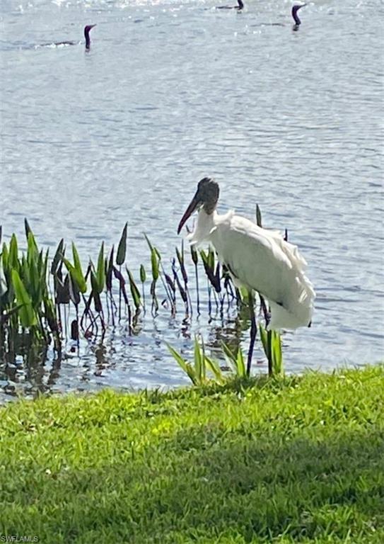 WINDING STREAM - Residential