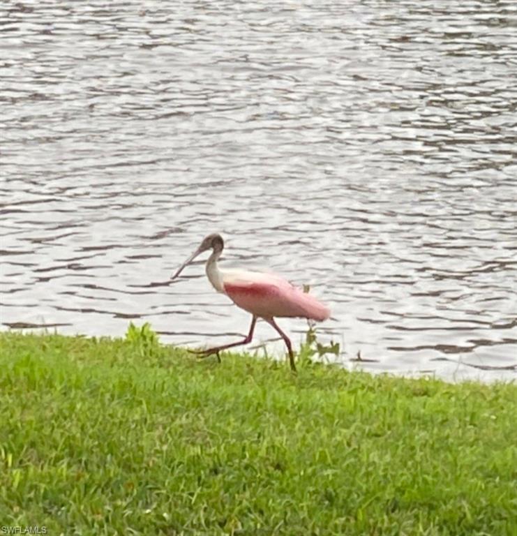 WINDING STREAM - Residential