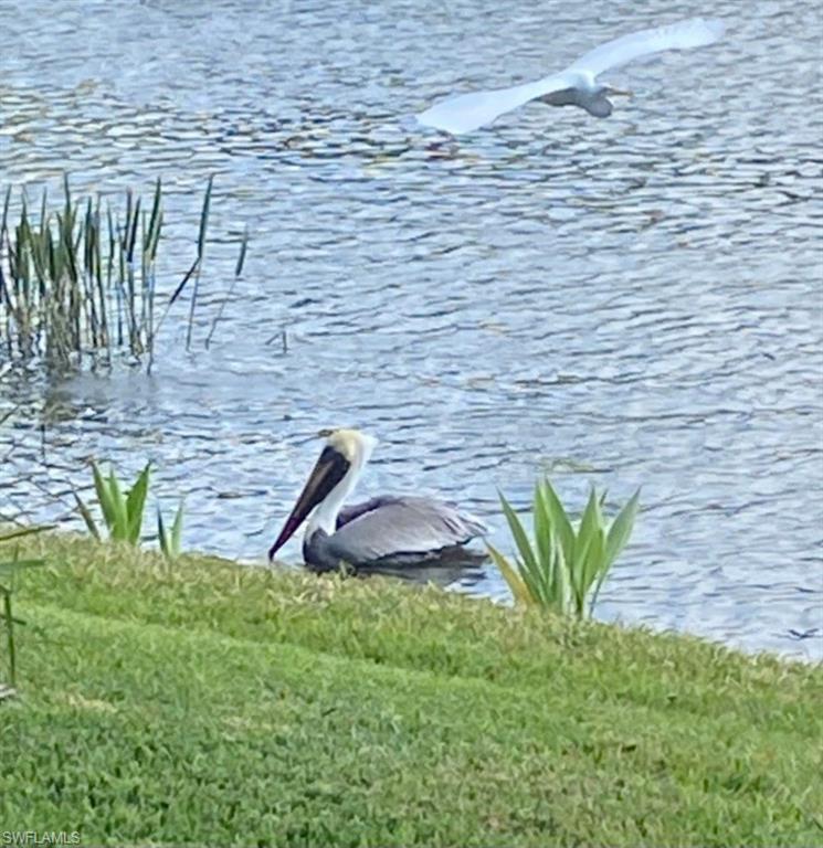 WINDING STREAM - Residential
