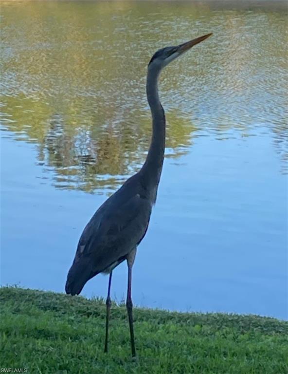 WINDING STREAM - Residential