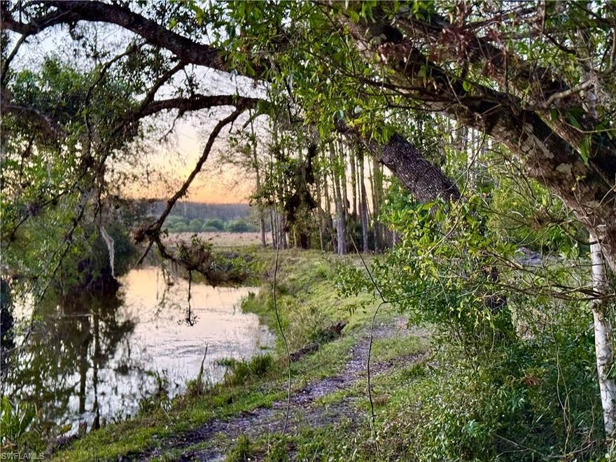 80.614 +/- acre country escape in the charming Muse community. Located on a well-maintained dirt road approximately 1 1/2 miles off of Loblolly Bay, this is ideal for someone seeking peace and privacy while maintaining modern conveniences (Amazon delivers here!). Zoned Ag-2, which allows residential use in addition to agriculture. Bordered by Bee Branch on the east side of the property and teeming with grandfather oaks, cypress knees, and native vegetation on approximately 30 acres, with about 50 acres of cleared land along the road. There's a large equipment barn and well for irrigation towards the rear. Lots of game and wildlife in this area, perfect for camping, hunting, or building a country retreat. Pictures truly don't do it justice! Approximately 15 minutes from shopping, restaurants, and schools in LaBelle, 45 minutes from both I-75 and Babcock Ranch, under an hour from Southwest Florida International Airport, and 2 1/2 hours from Miami.