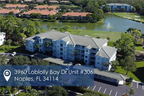 3960 Loblolly Bay DR 306 NAPLES FL 34114