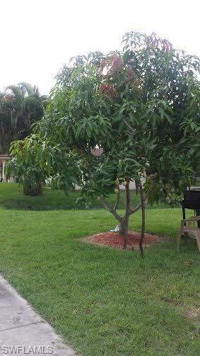 CAMPBELL ACRES - Residential