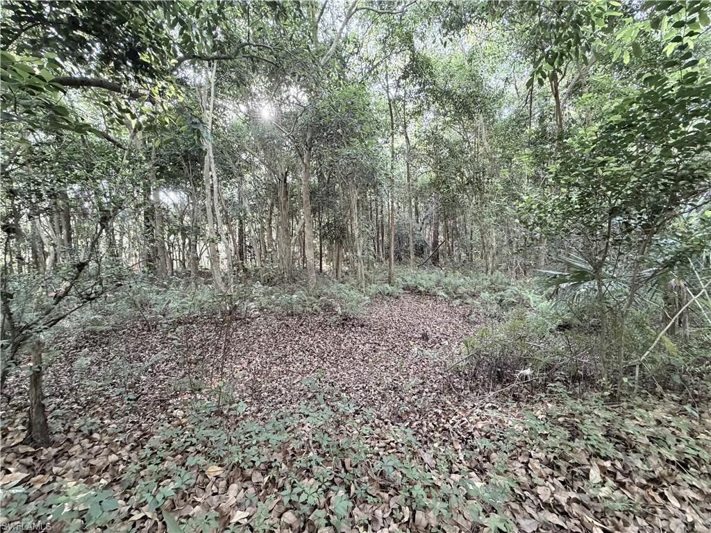 ACREAGE HEADER - Land