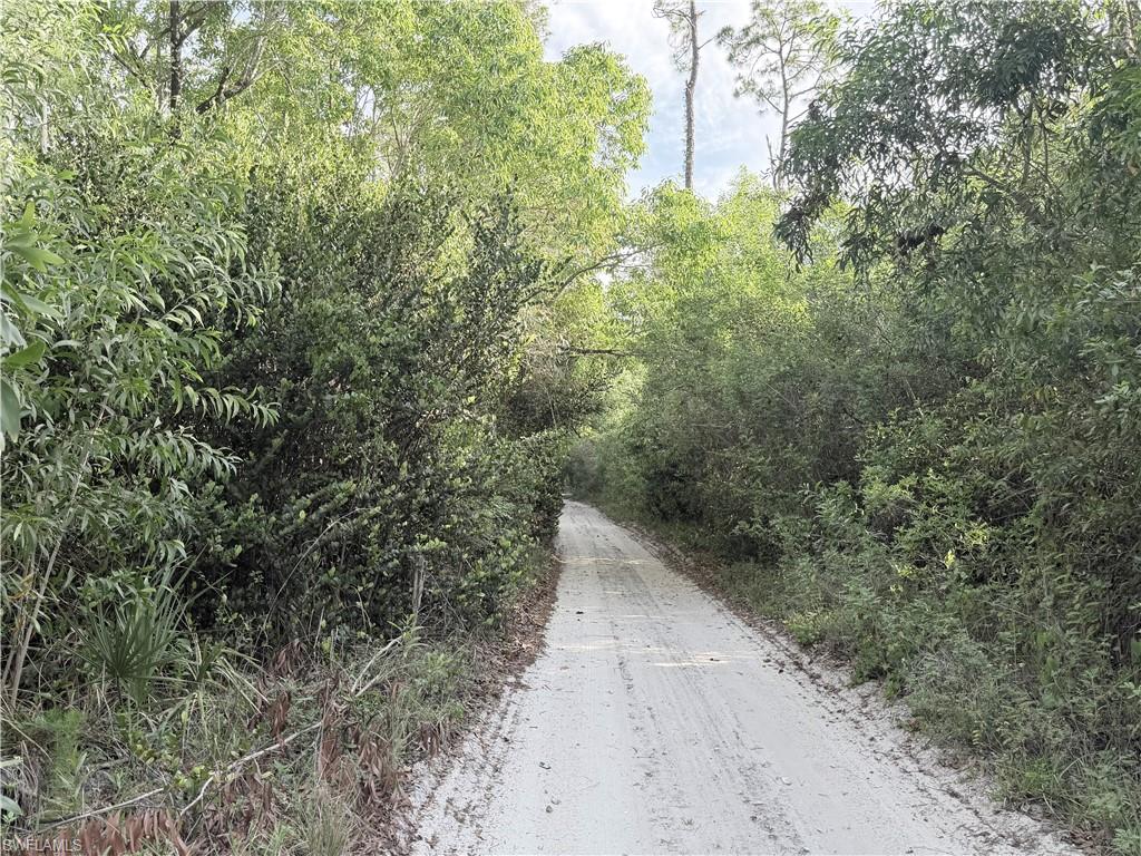 ACREAGE HEADER - Land