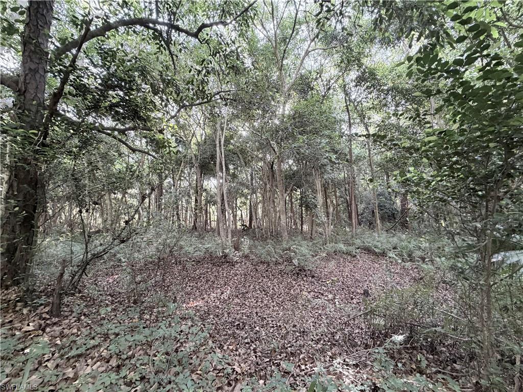 ACREAGE HEADER - Land