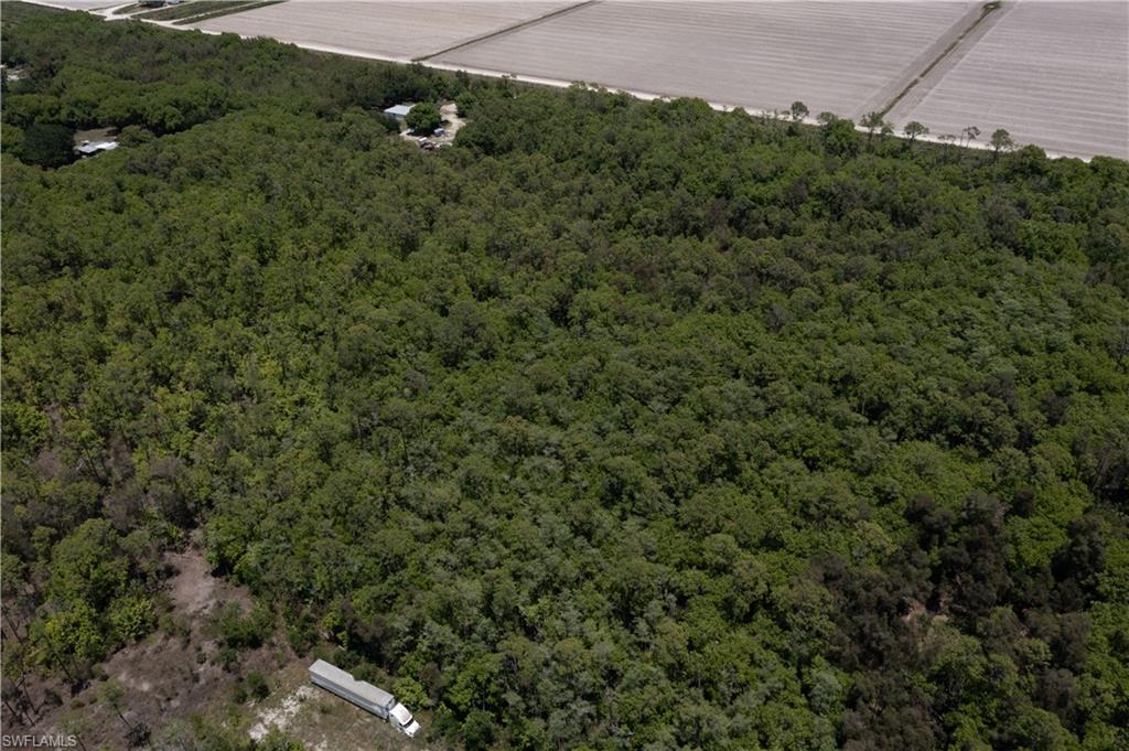 ACREAGE HEADER - Land