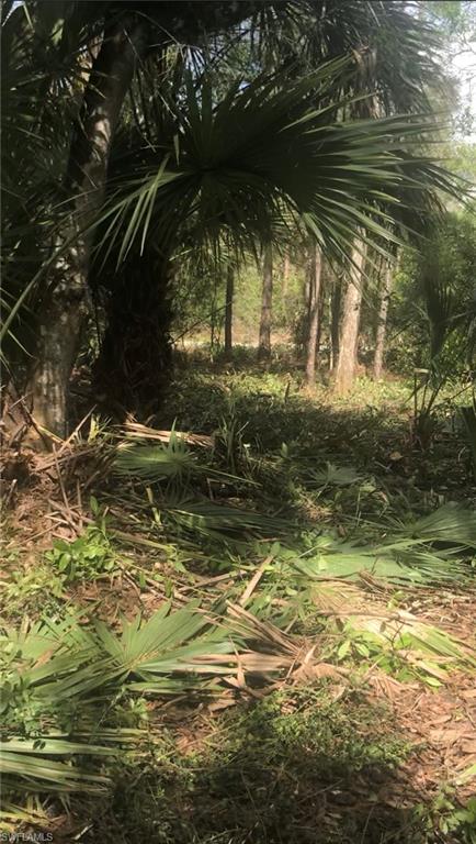 GOLDEN GATE ESTATES - Land