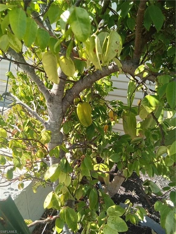 PINE ISLAND COVE - Residential