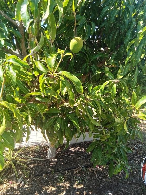 PINE ISLAND COVE - Residential