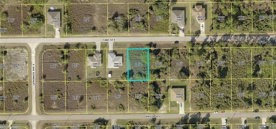 Build your dream house on this lot in a growing community in Lehigh Acres.  With easy access to shopping, restaurants, schools, churches, and Fort Myers Airport.  Come and enjoy all that sunny SW Florida has to offer.