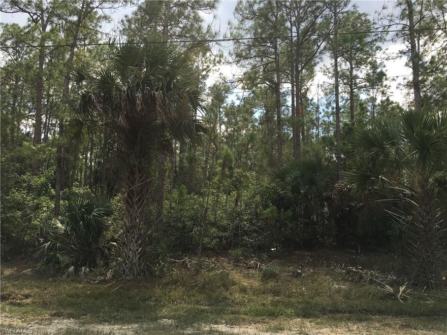 *** HOLIDAY WEEK SALE PRICE ***  100% UPLAND per TEC's 2016 environmental survey.  Between Golden Gate Blvd and Randall, by Everglades.  Collier Area Transportation allows flag down pick up on Everglades Blvd. Public transportation in Golden Gate Estates on Everglades.  Buyer to perform their own due diligence to ensure buyer suitability.  Seller has additional 100% UPLAND lots per their environmental surveys.  Multiple lot sales available.