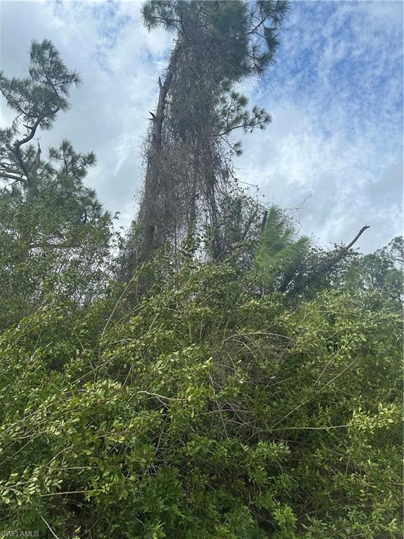 WHEELERS H L SUBD - Land