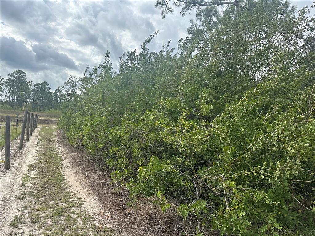 WHEELERS H L SUBD - Land