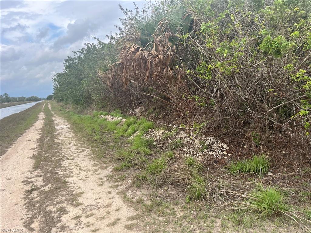 WHEELERS H L SUBD - Land