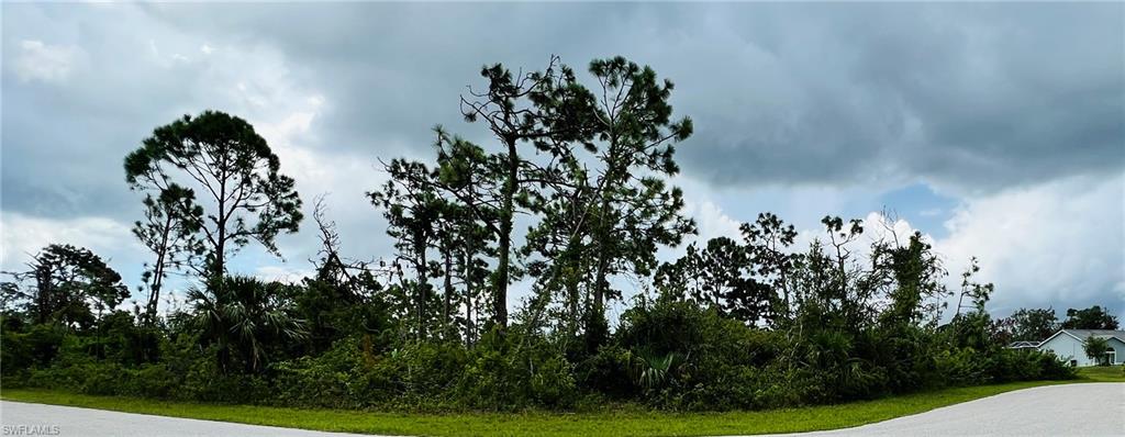 PORT CHARLOTTE - Land