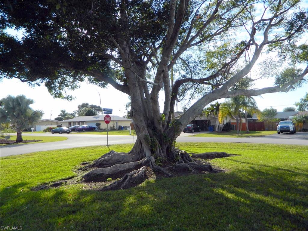 CYPRESS LAKE ESTATES - Residential