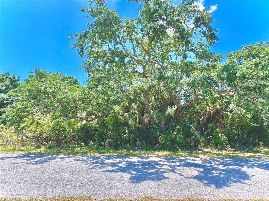 GREAT LOCATION 1/2 ACRE LOT on a paved street with utilities available. Just minutes from major amenities and a quick commute to Fort Myers. Come build your DREAM HOME or INVEST today!