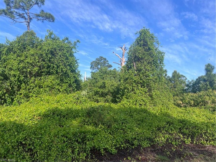 Looking for a quite area to build your new dream home? This is it.!! Close to Hwy 82 15 minutes to Ft Myers . Some of the property has some nice trees and native plants.