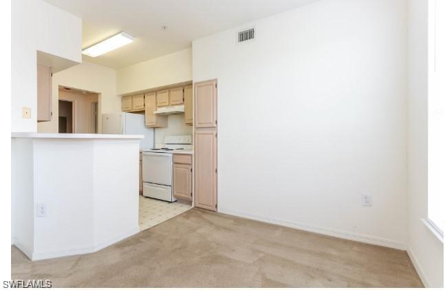 THE TIDES AT PELICAN LANDING - Residential