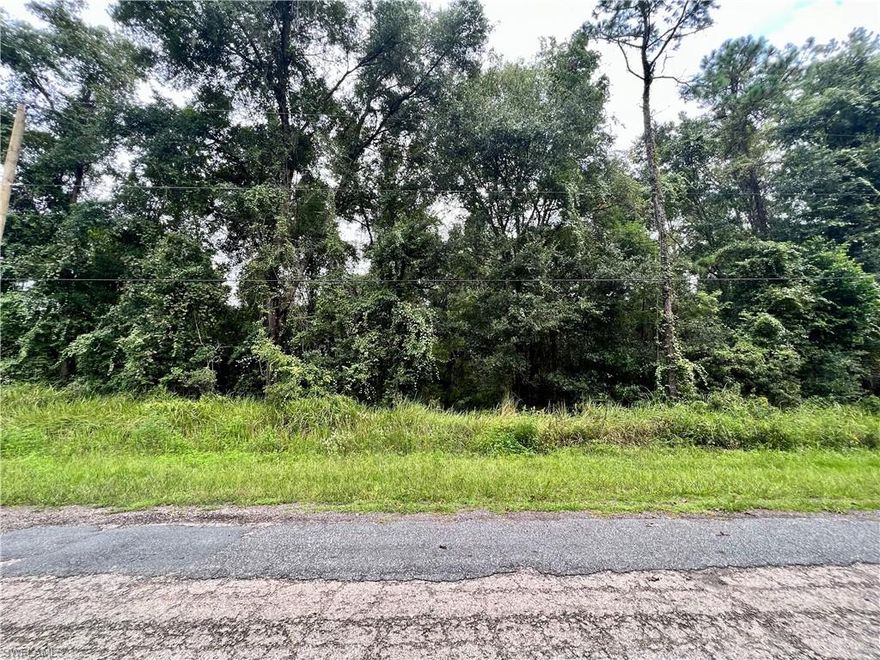 A spacious piece of land in Citrus Spring, Florida. Perfect for building your dream home or as an investment. The lot is in a quiet neighborhood, close to local amenities, schools, and parks. Enjoy the sunny Florida weather and a relaxed lifestyle.