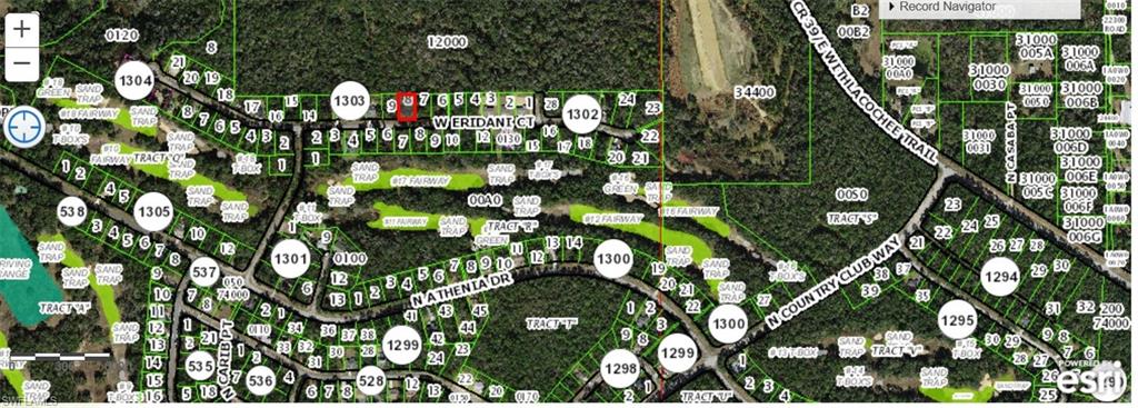 CITRUS SPRINGS - Land