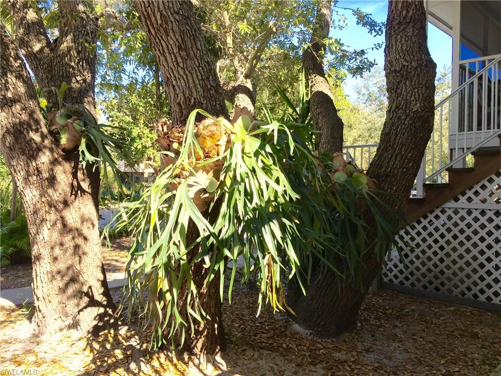 GULF HEIGHTS - Residential