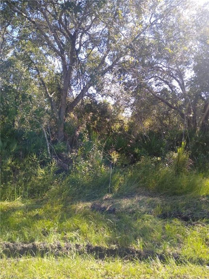 Very nice lot in a growing area. Close to dining, entertainment, shopping, and the beaches.