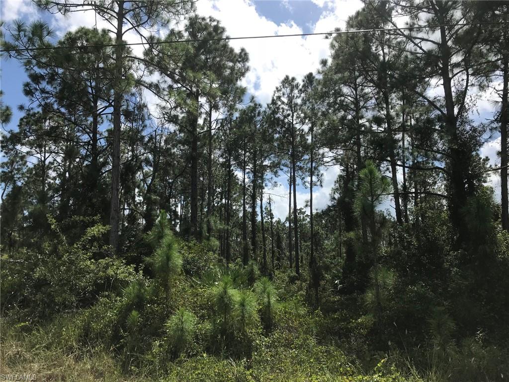 GOLDEN GATE ESTATES - Land