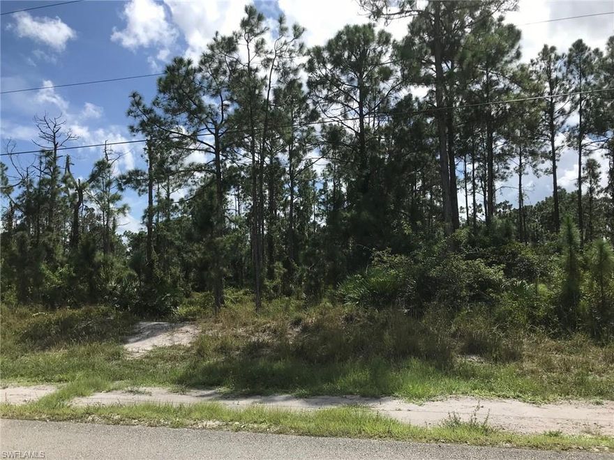 100% Uplands per the 2018 TEC Wetland Determination attached. Enjoy the peaceful, country lifestyle of Golden Gate Estates, just minutes from the splendor and beautiful beaches of Naples, Florida. Build the home of your dreams on this wonderful 2.73 acre wooded lot. Zoning allows 2 horses per acre. Beautiful property with lots of nice pines.