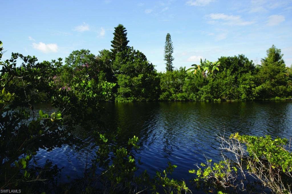 GUMBO LIMBO - Residential