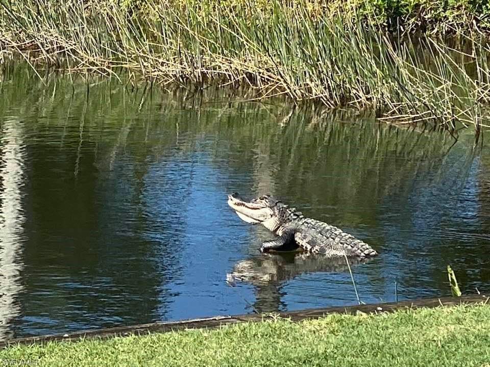 TERRACE - Residential