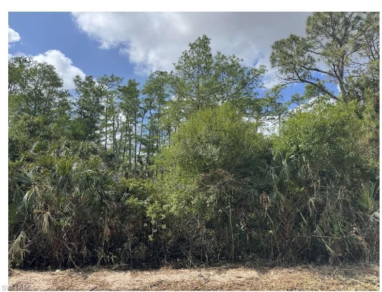 GOLDEN GATE ESTATES - Land