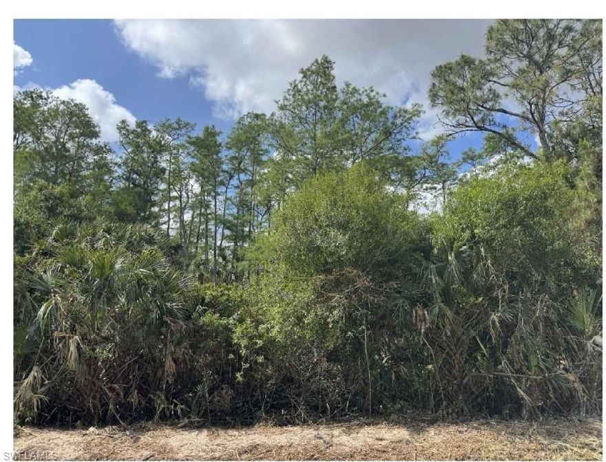 Informal Wetland Determination report available upon request. Lot is next to house # 2588.