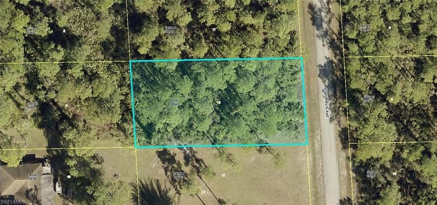 Build your dream home here!  Oversized half acre lot. Easy access to schools, shopping, restaurants, churches and parks.  Come enjoy all sunny SW Florida has to offer.