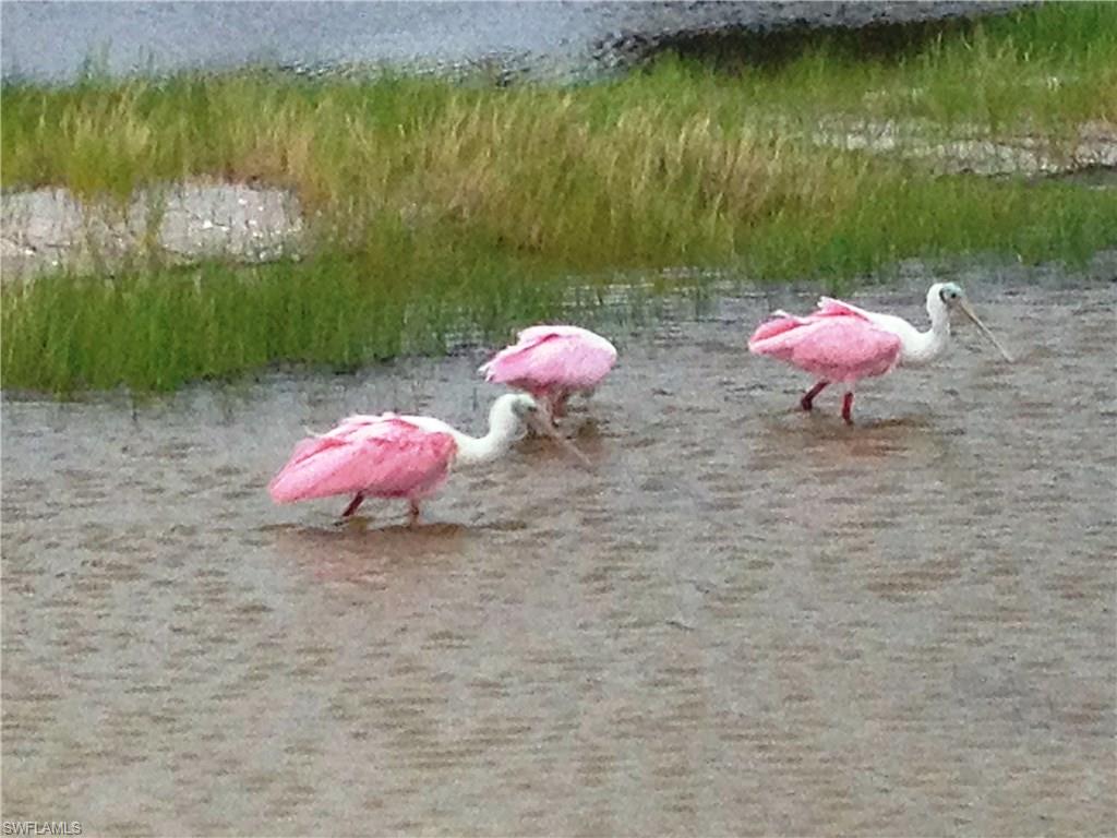 GULLWING BEACH RESORT - Residential